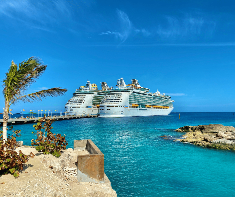 Cruise & Port Transportation